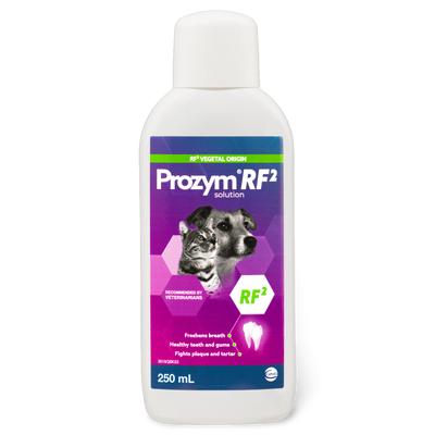 Prozym Solution