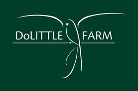 Dolittle Farm Small Rabbit Single pack
