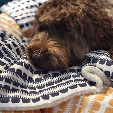 Dogue Coastal Chic Blanket Navy