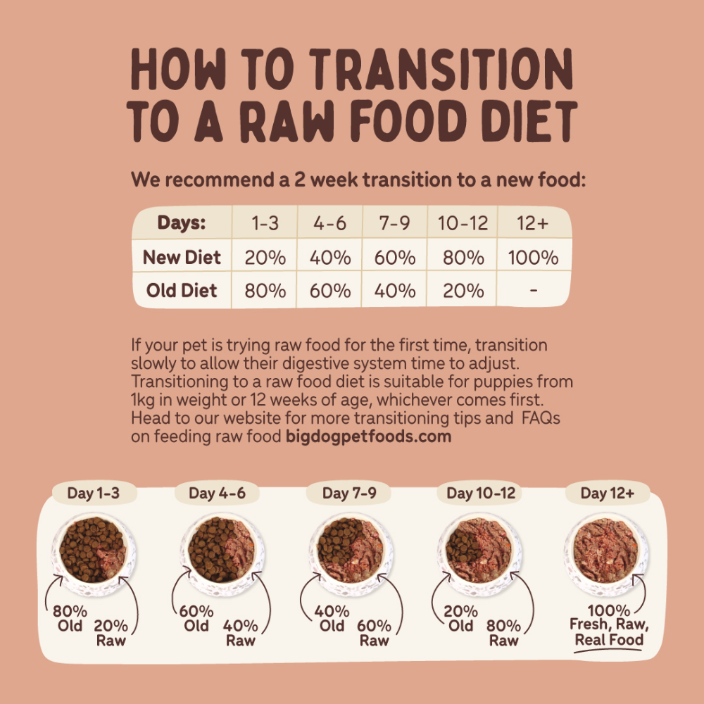 Big Dog Small Dog Beef Raw Dog Food