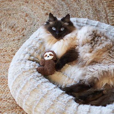 Kazoo Cat Toy Jungle Sloth