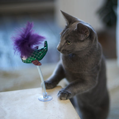 Kazoo Cat Toy Bouncy Fish