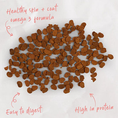 Kazoo Kitty Craves – Salmon Bites – 75gm