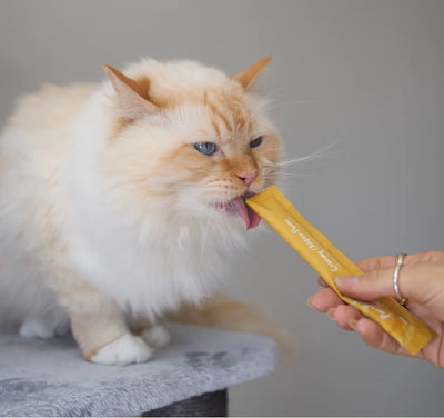 Kazoo Purrfect Puree – Chicken – 4pk – 15g