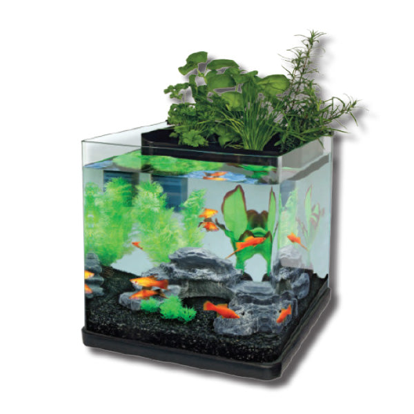 Aquatopia Oasis 20 Aquaponic Tank