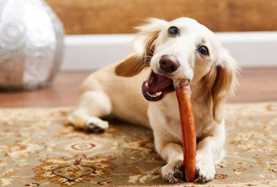 Bark & Beyond Bully Stick 150g