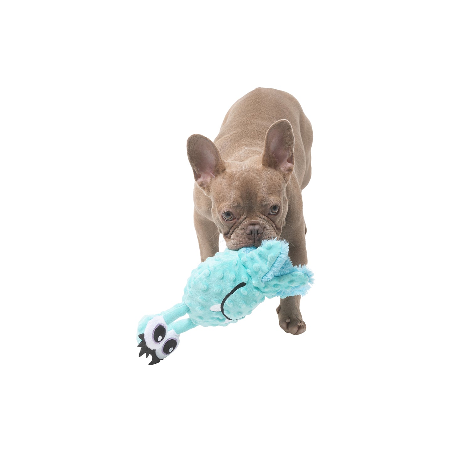 Indie & Scout Plush Eyeball Monster Toy Aqua
