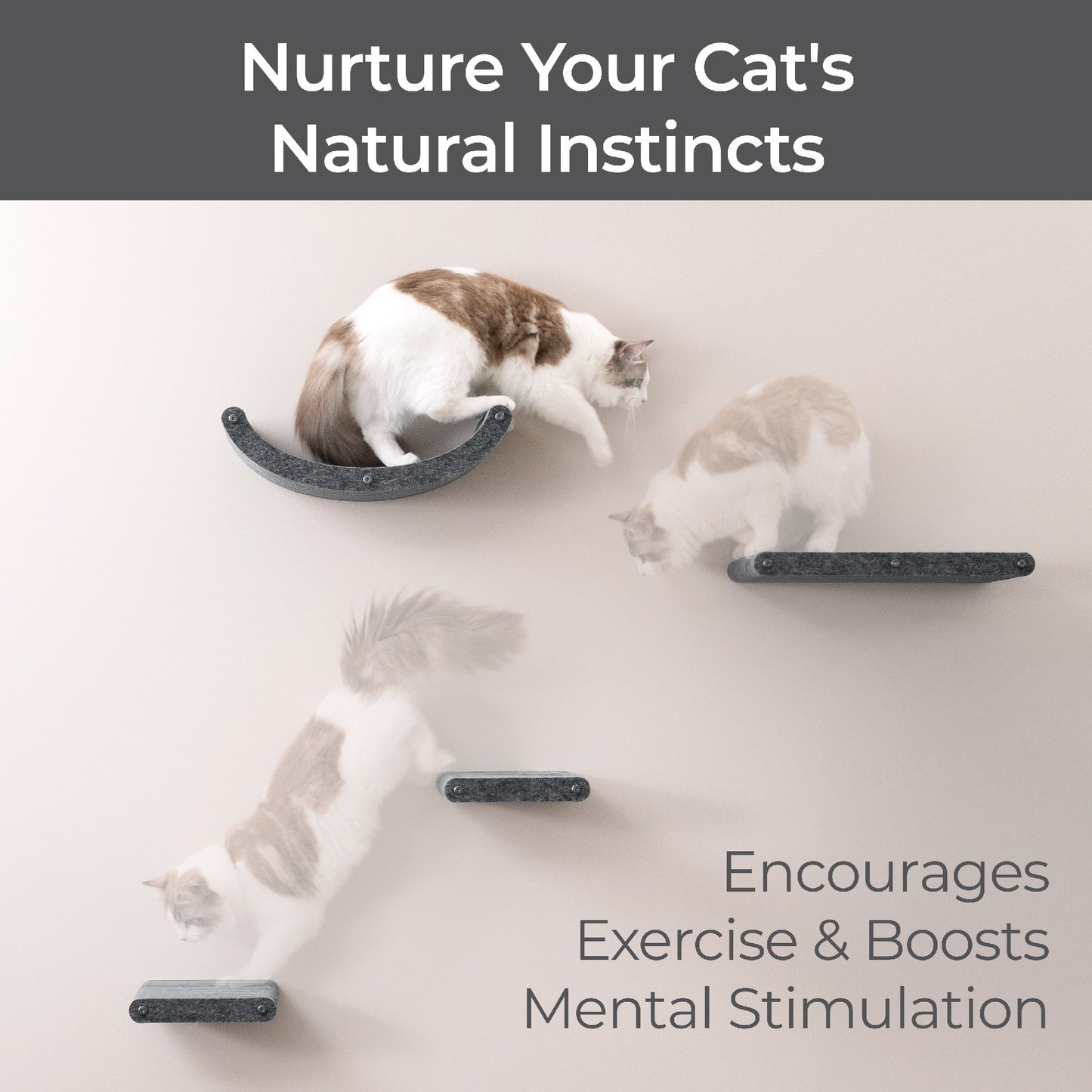Pryde Pets Cat Climber Set of 4 Shelves Charcoal