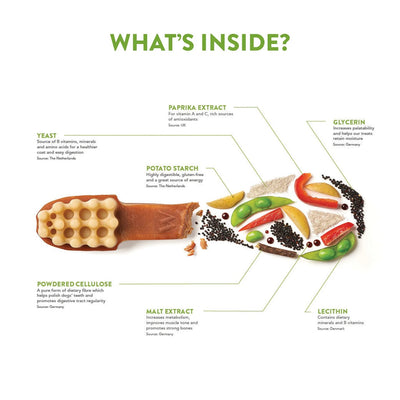 Box Of 30 Whimzee Toothbrush Large