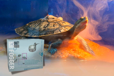 Get Your Pet Right Fogger