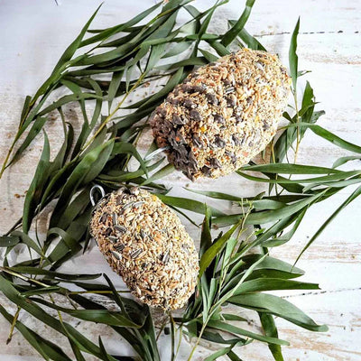 Forage Small Bird Pinecone Treat SMALL