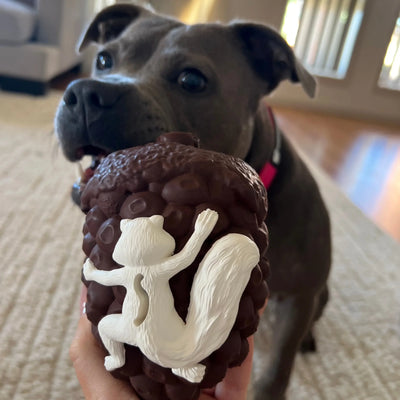 Pinecone Slow Feeder