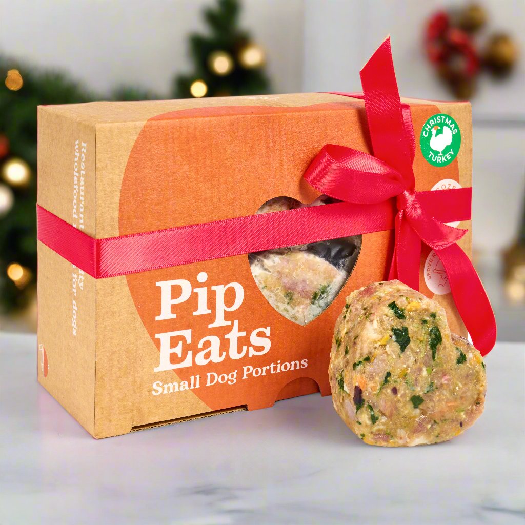 Pip Eats Christmas Turkey Dinner Raw Dog Food