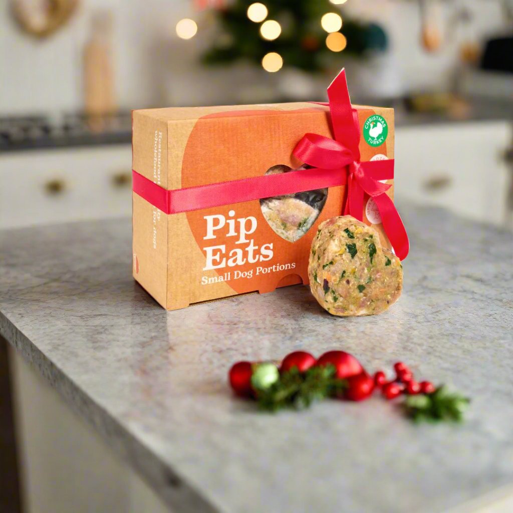 Raw Pet Food for Christmas Dinner, Turkey, Fresh Vegetables and Cranberries