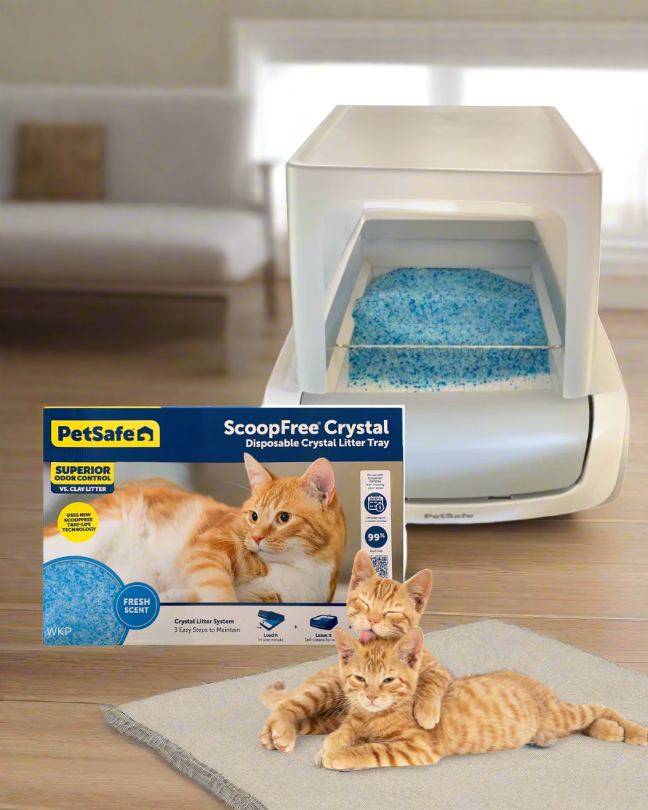 ScoopFree Litter Tray 2nd Generation