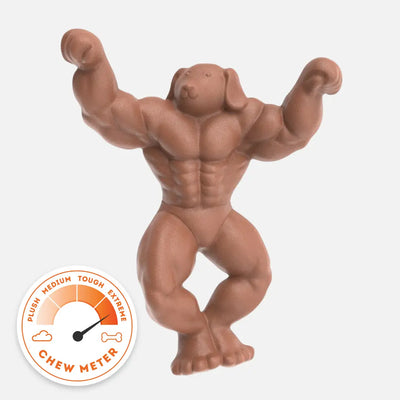 Staffy Schwarzenegger