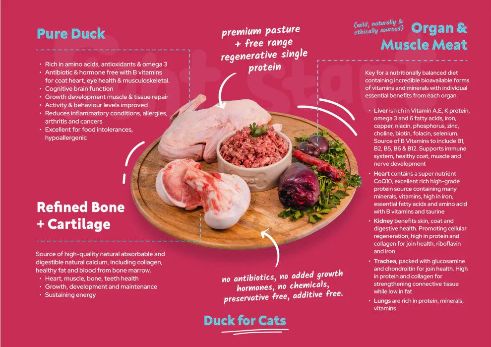 The Right Start Petfood Duck For Cats 500G *Available in store or local delivery only