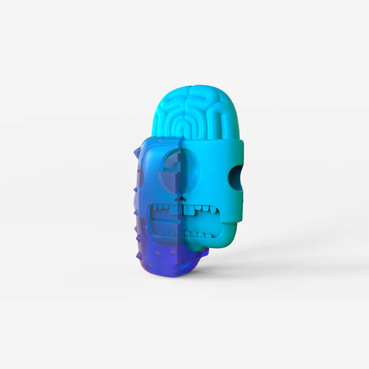 Zees Brain – Freeze