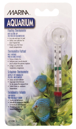 Marina Glass Thermometer