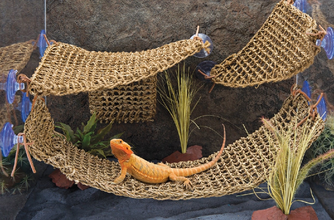 Lizard Loungers - XLarge Hammock - 75 x 17.8cm