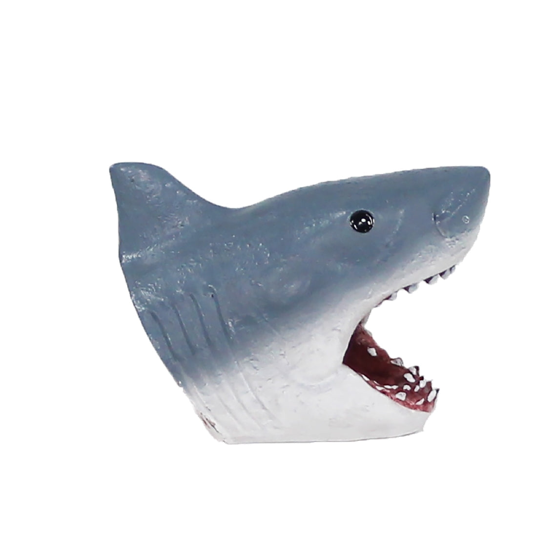 Jaws Swim Thru Small