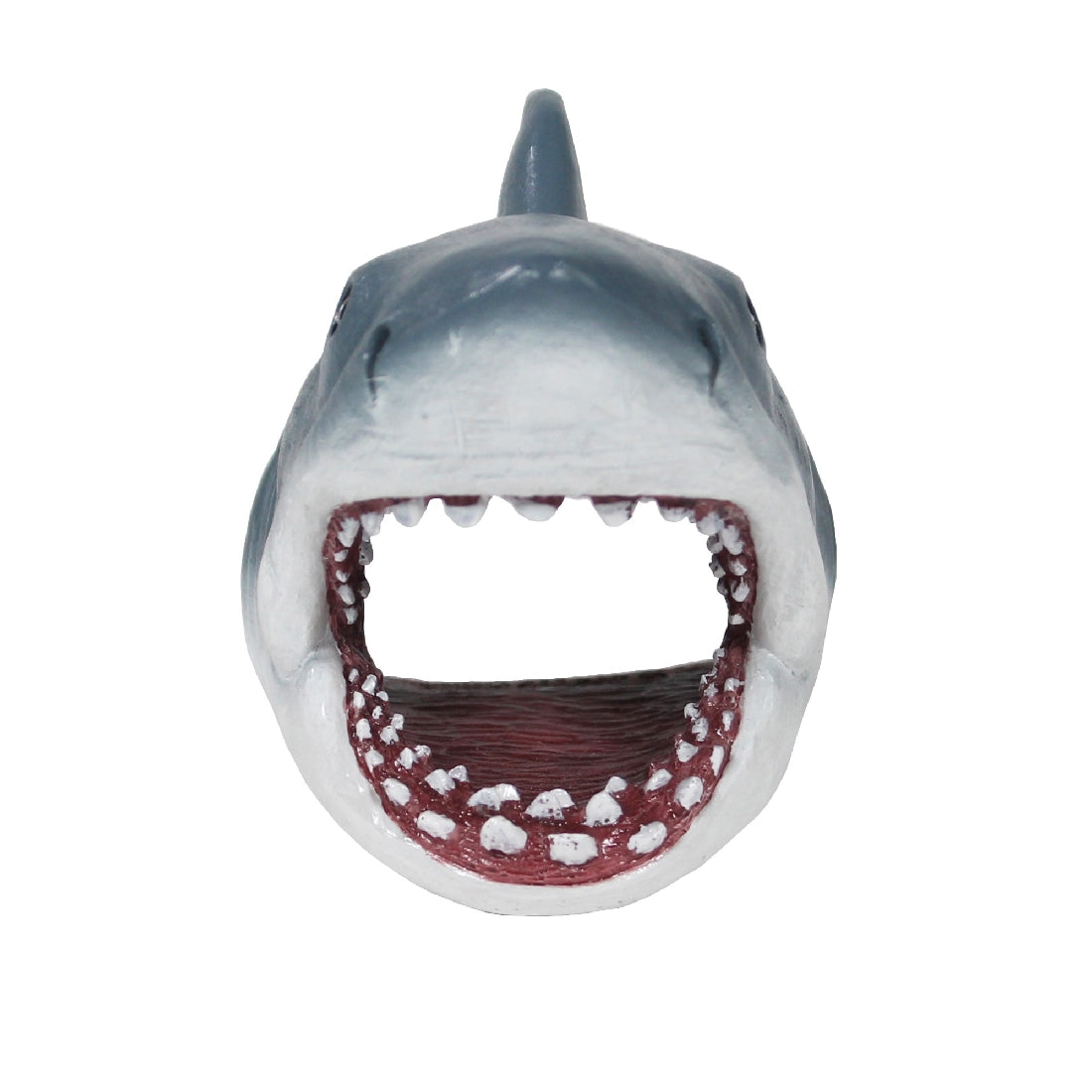 Jaws Swim Thru Small