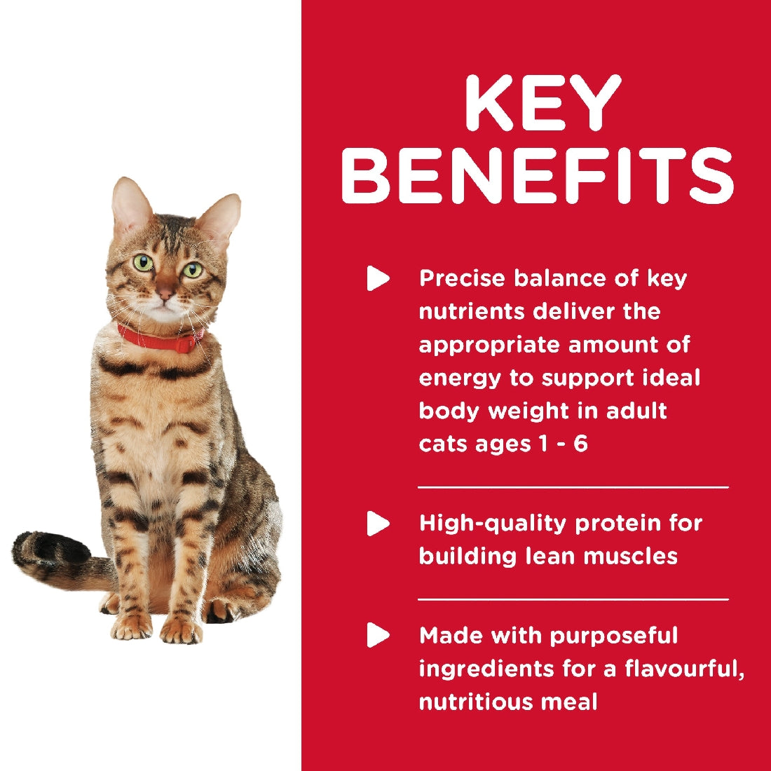 Pack of 24 Science Diet Cat Adult Healthy Cuisine Chicken 79g Can