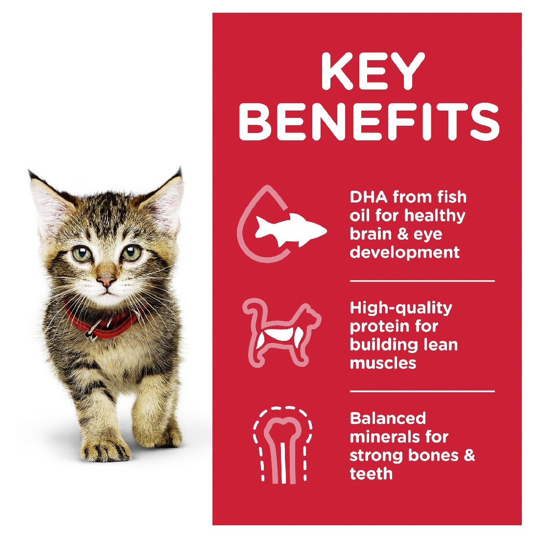 Pack of 12 Science Diet Cat Kitten Chicken 85g Pouch