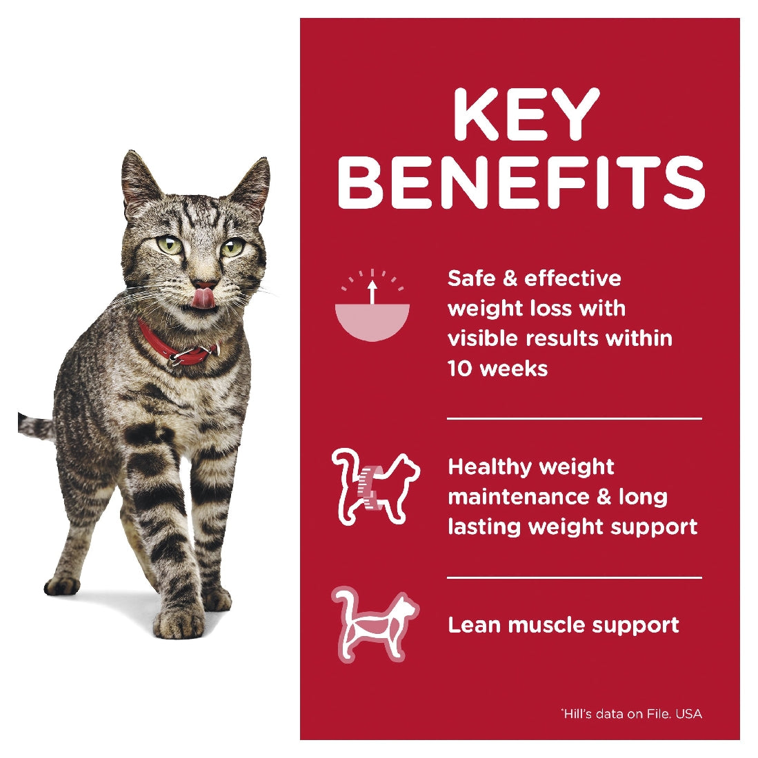 Science Diet Cat Adult Perfect Weight 85g Pouch