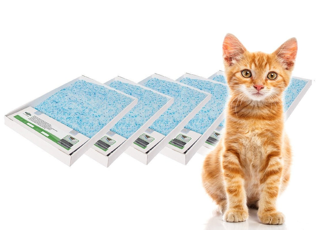 ScoopFree Litter Tray Replacement Tray Bulk 6 pack