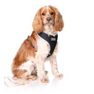 DOOG Neoflex Dog Harness Lassie