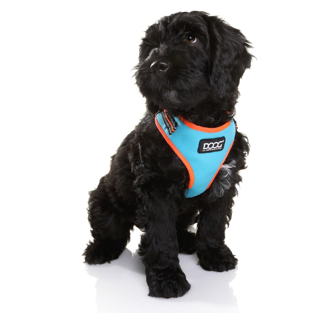 Doog Neoflex Dog Harness Beethoven (Neon)