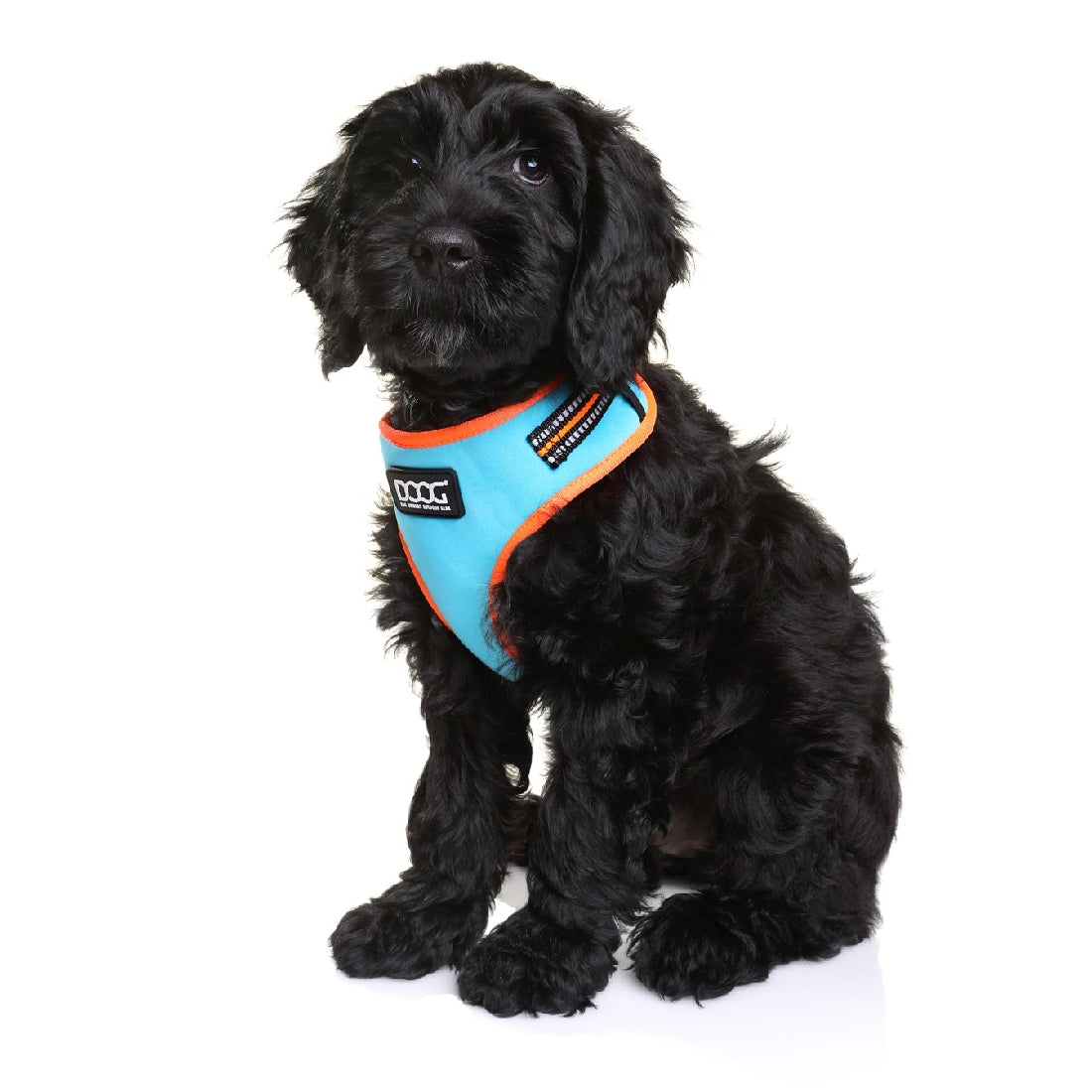 Doog Neoflex Dog Harness Beethoven (Neon)