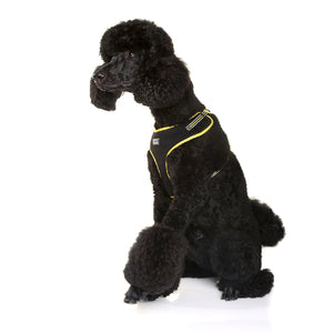 Doog Neoflex Dog Harness Bolt (Neon)