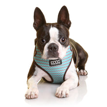 Doog Neoflex Dog Harness Benji Large