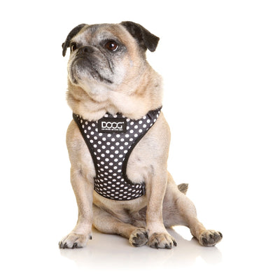 DOOG Neoflex Dog Harness Stella