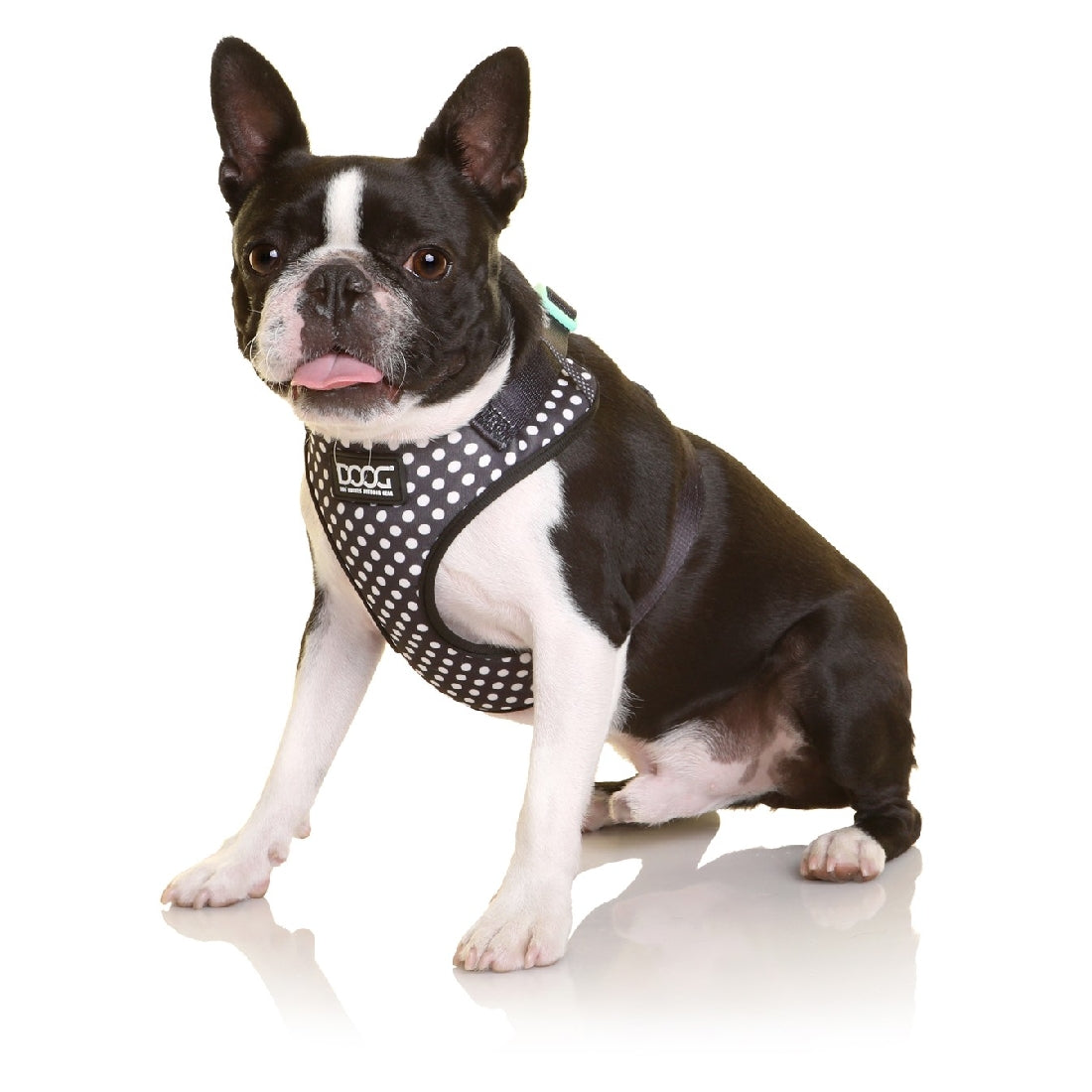 DOOG Neoflex Dog Harness Stella