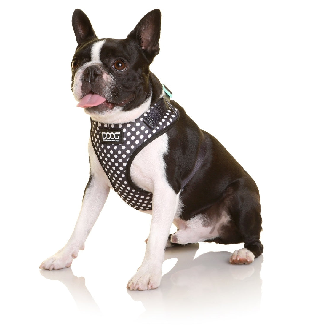 DOOG Neoflex Dog Harness Stella