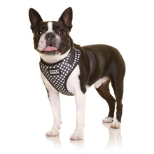 DOOG Neoflex Dog Harness Stella