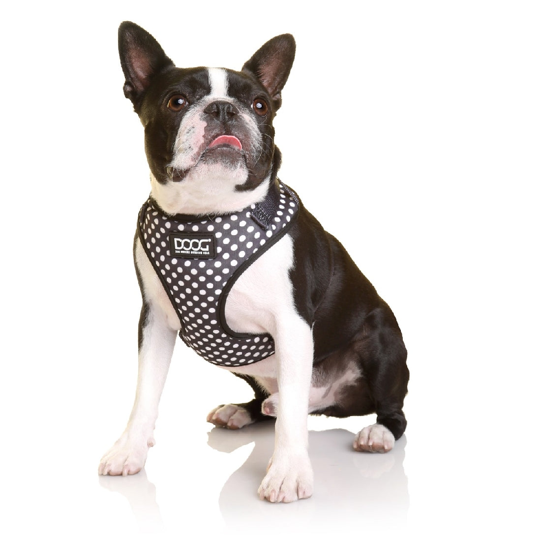 DOOG Neoflex Dog Harness Stella