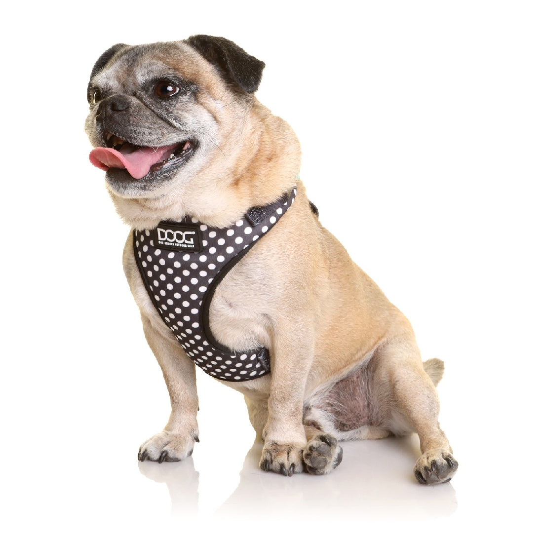 DOOG Neoflex Dog Harness Stella