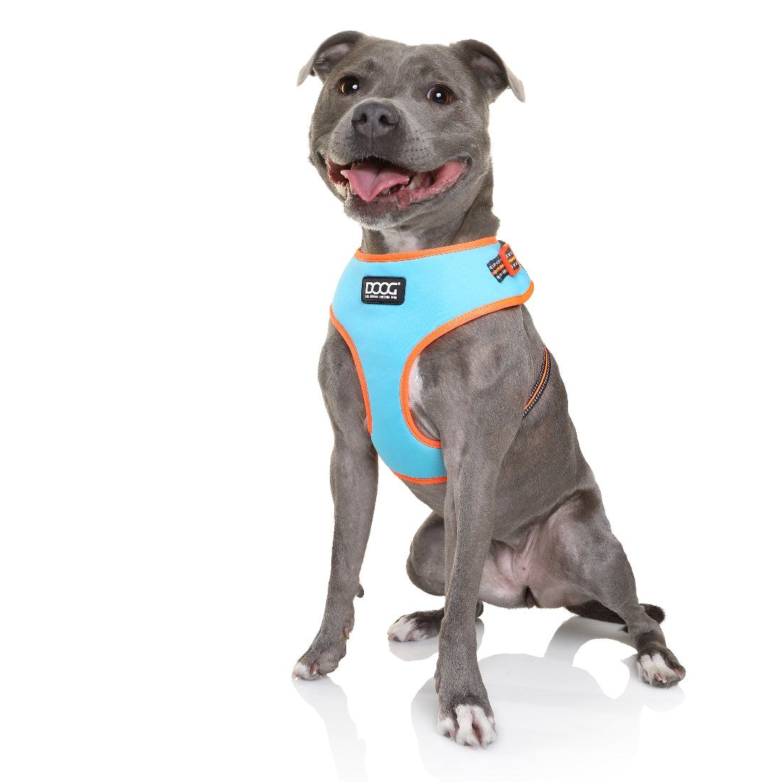 Doog Neoflex Dog Harness Beethoven (Neon)