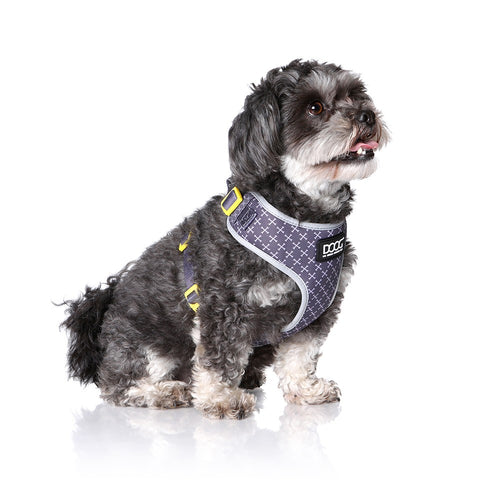 DOOG Neoflex Dog Harness ODIE - Small