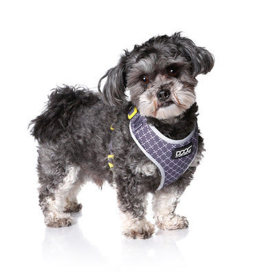DOOG Neoflex Dog Harness ODIE - Small