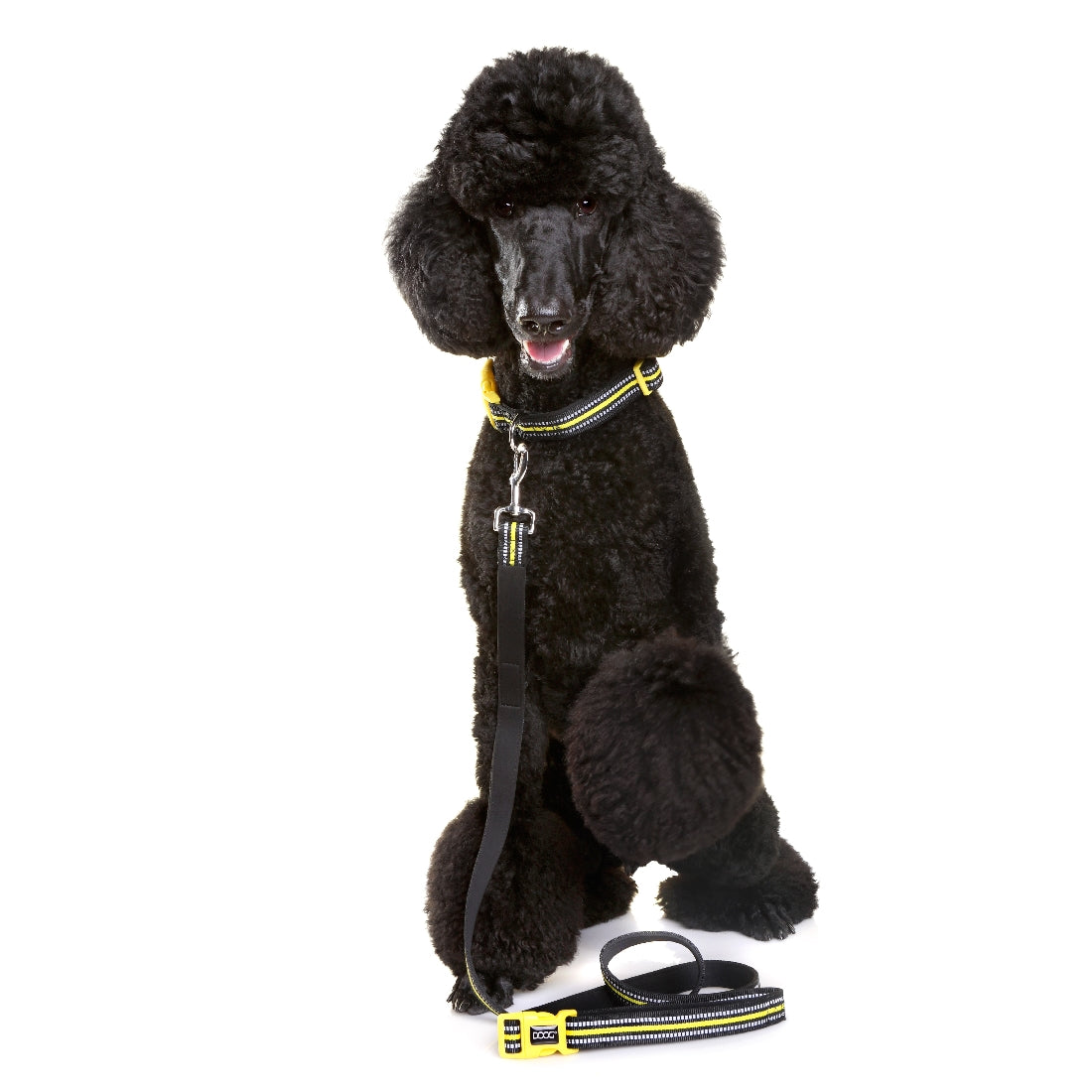 Doog Neoprene Dog Collar Bolt (Neon)