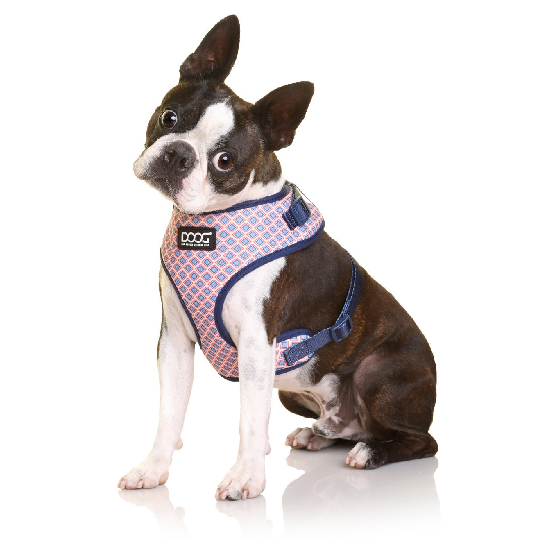 Doog Neoflex Dog Harness Gromit