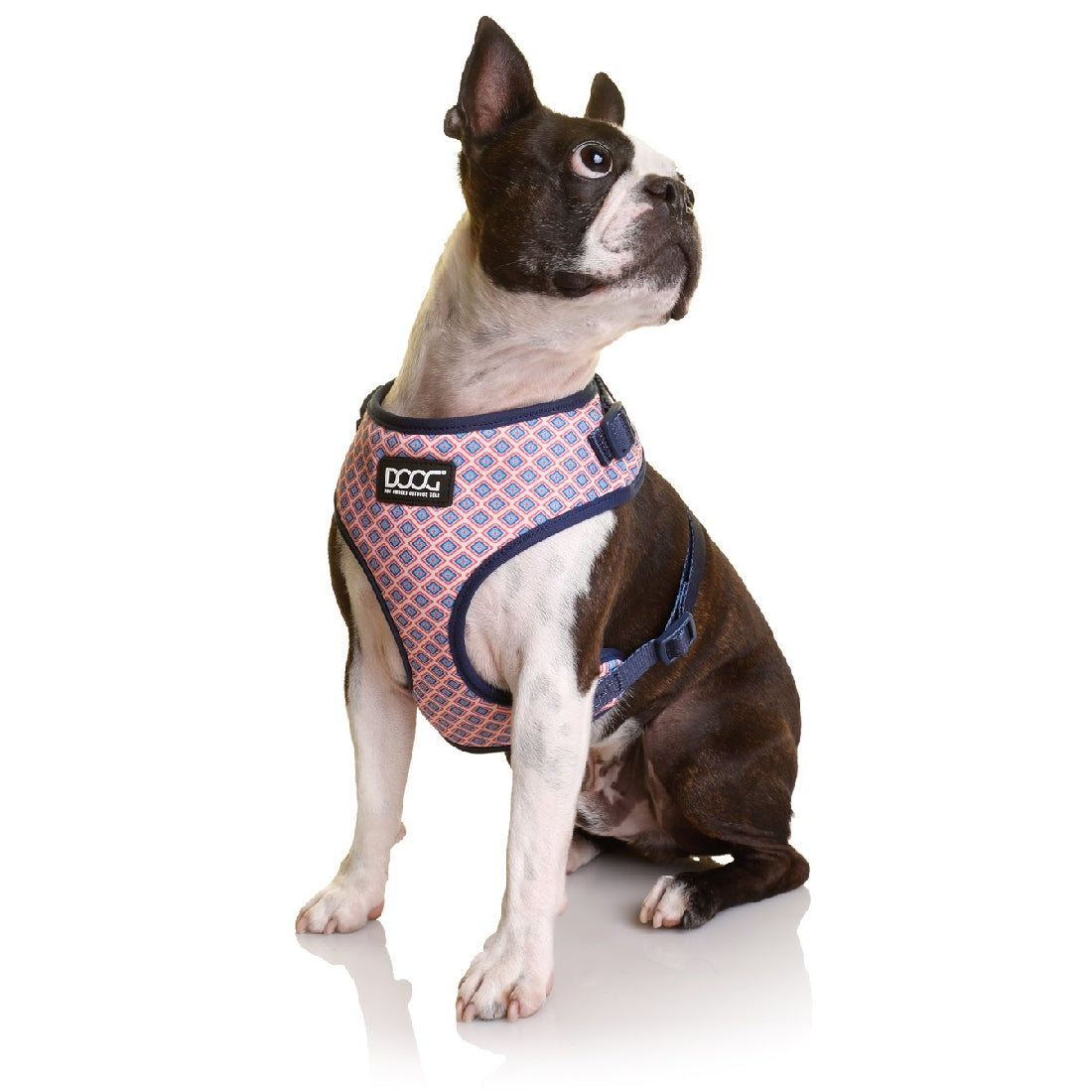 Doog Neoflex Dog Harness Gromit