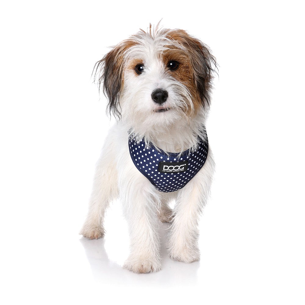 DOOG Neoflex Dog Harness Stella