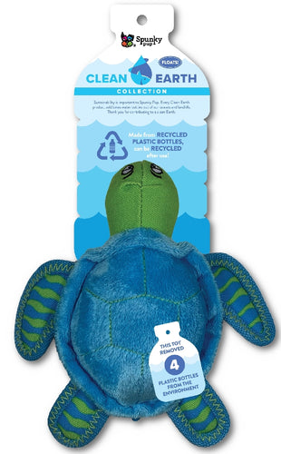 Clean Earth Turtle Large