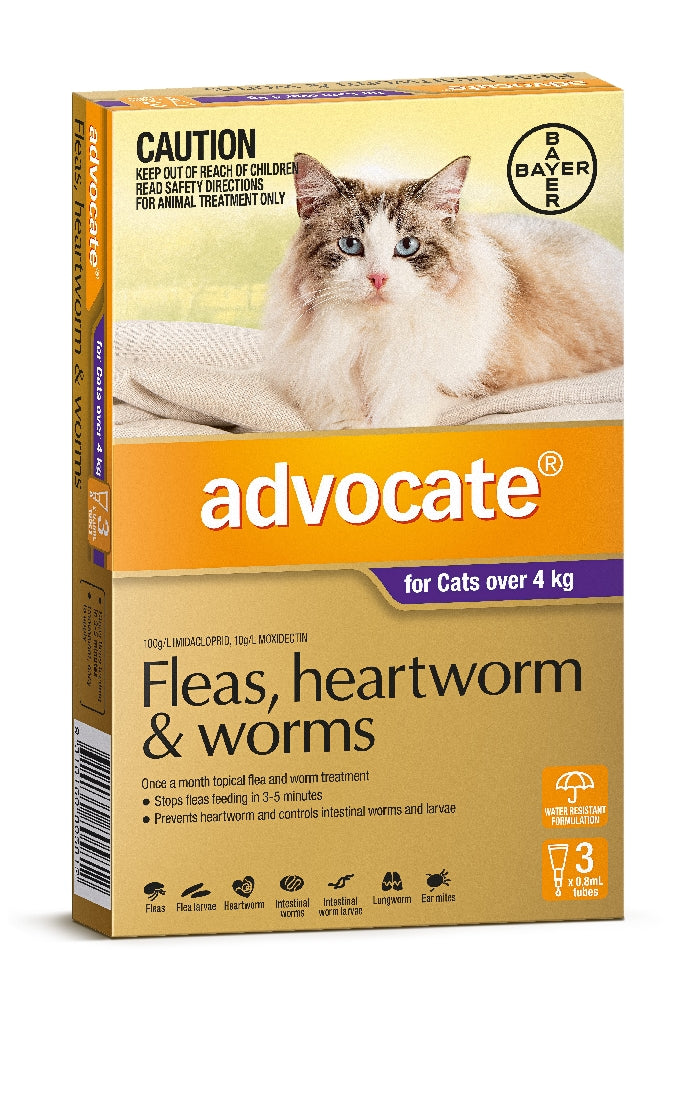 Advocate Cat Purple Over 4Kg